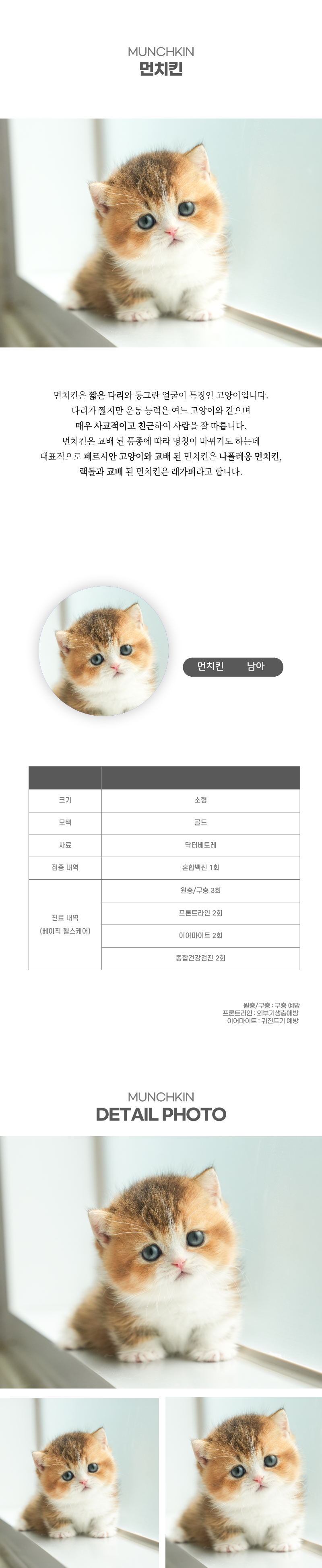 먼치킨_상세이미지_2